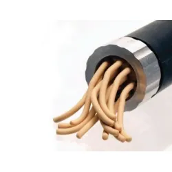 FIMO Extruder cu 20 accesorii
