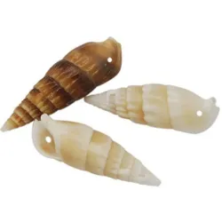 Pandantive scoica spirala conica 4~7cm -1buc