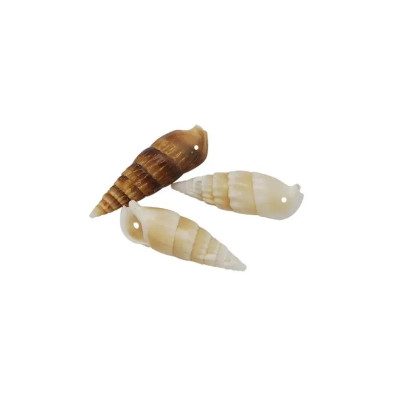 Pandantive scoica spirala conica 4~7cm -1buc