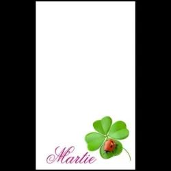 Cartoane martisoare 5.4*8.9 -100buc