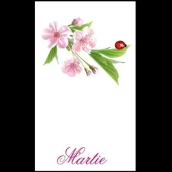 Cartoane martisoare 5.4*8.9 -100buc cires